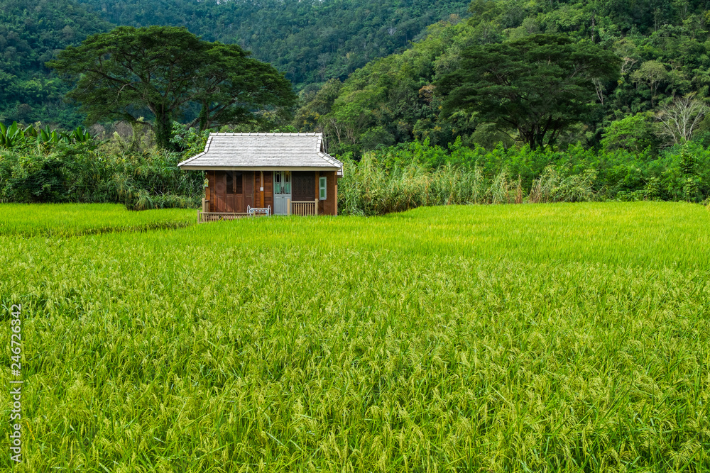 Villa in the countryside that is beautiful in the middle of nature and fresh air. Villa in the countryside that is beautiful in the middle of nature and fresh air.