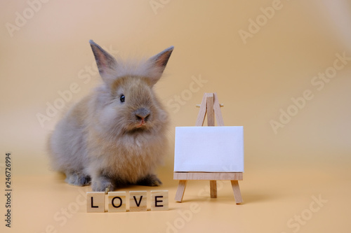 Rabbit and the label Love on a light brown background
