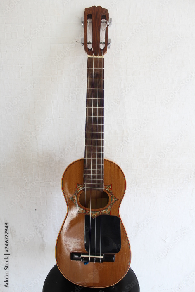 Fototapeta premium requinto