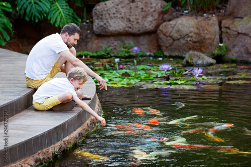 Photography feeding koi fish