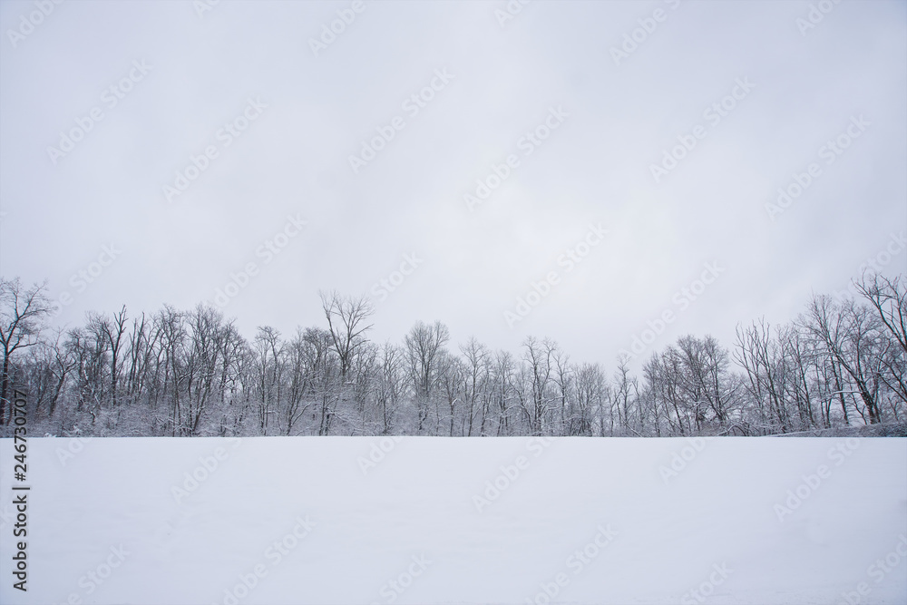 Obraz premium Linton Music series 1-20-2019