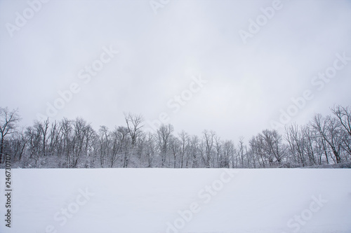 Linton Music series  1-20-2019