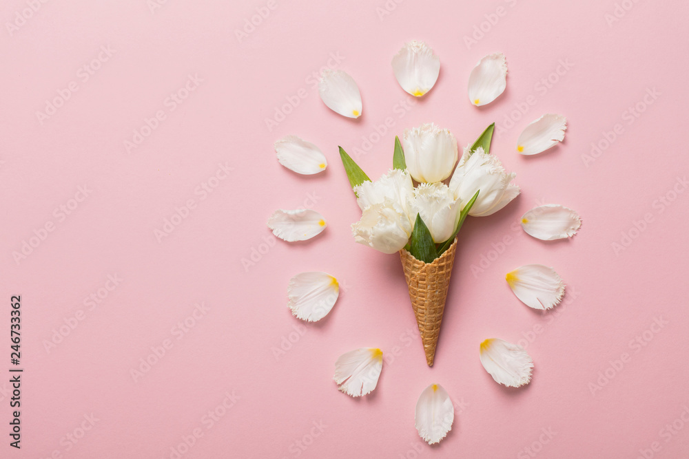 Flat-lay waffle cone with white flower blossom Flat-lay waffle cone with white flower blossom