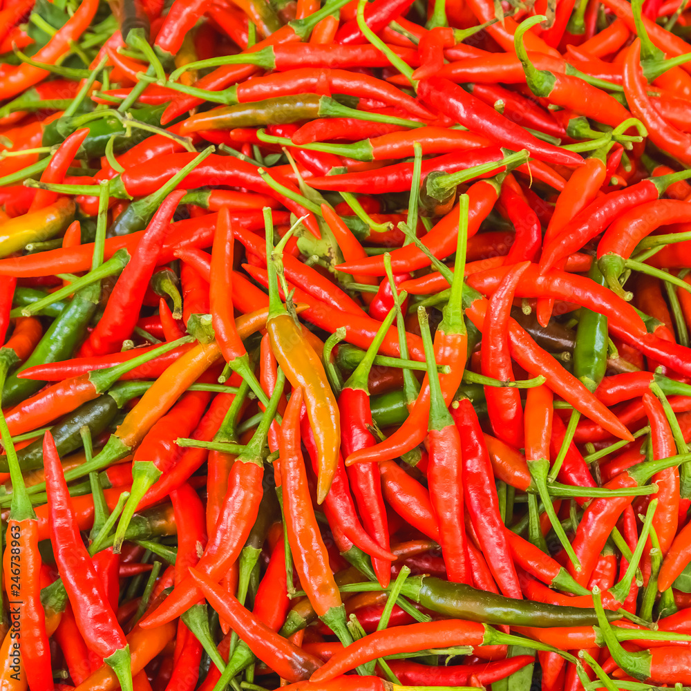 Red chili for background.