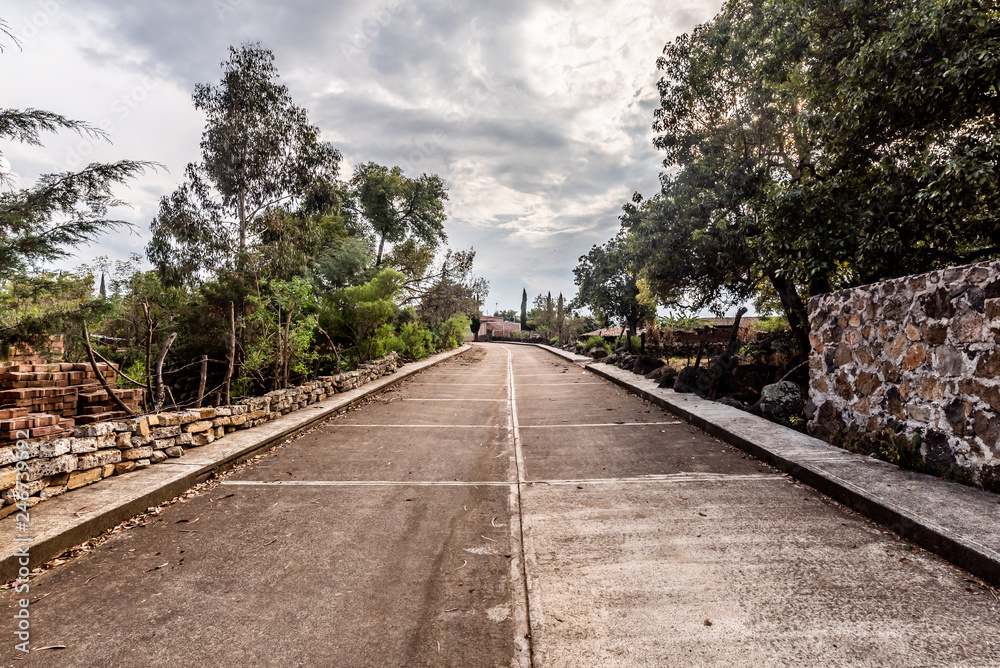 road in park road in park