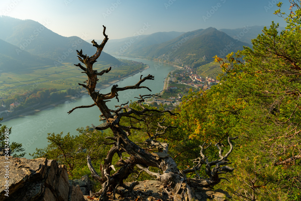 Deciduous forest, hills and river Danube near Spitz on a sunny day in autumn Deciduous forest, hills and river Danube near Spitz on a sunny day in autumn