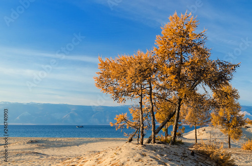 Autumn on the shore of lake Baikal, Russia