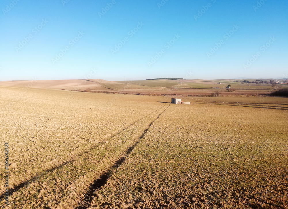 Paisaje rural.. Industria agrícola europea. Trigo naciendo. Huellas de tractor hacia el pozo de agua. Paisaje rural.. Industria agrícola europea. Trigo naciendo. Huellas de tractor hacia el pozo de agua.