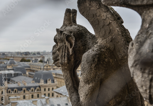 Chimera (Gargoyle) of Notre Dame de Paris