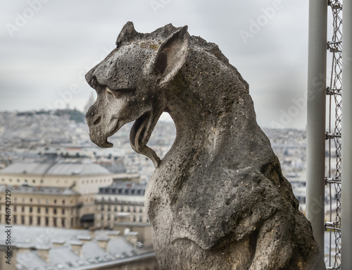 Chimera  Gargoyle  of Notre Dame de Paris