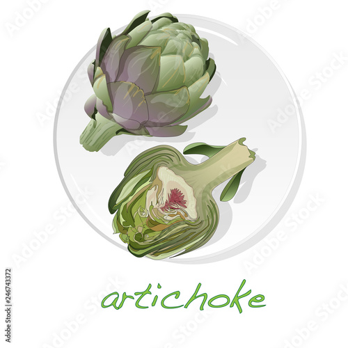Artichoke on plate vector illustration set. Image isolated on white background.