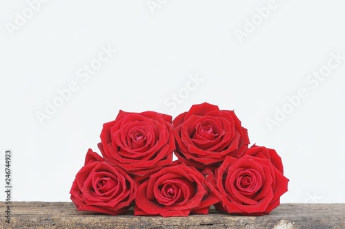 Group of lovely blooming red color rose flower decorated with petals on wood table background, sweet valentine present concept