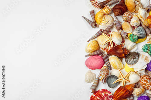 Composition of exotic seashells