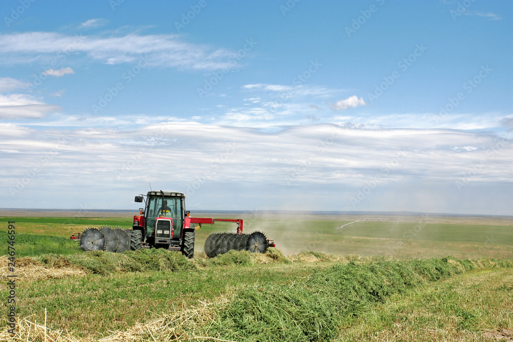 Agriculture - Alfalfa