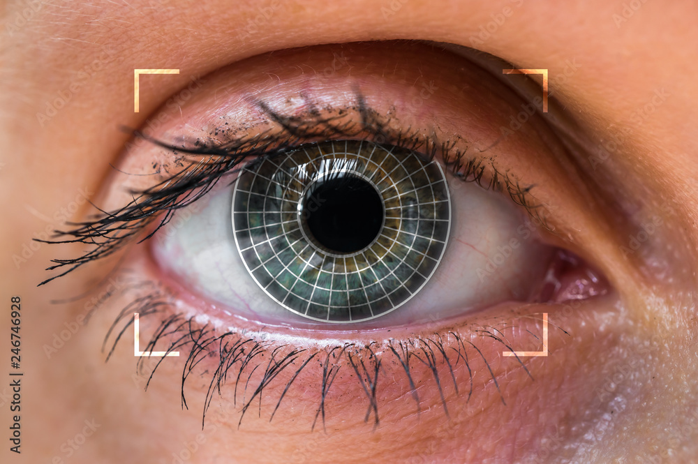 Obraz premium Skanowanie i rozpoznawanie oczu - koncepcja identyfikacji biometrycznej
