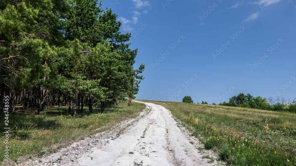 white from the chalk road passes on a hill in a row with the forest white from the chalk road passes on a hill in a row with the forest