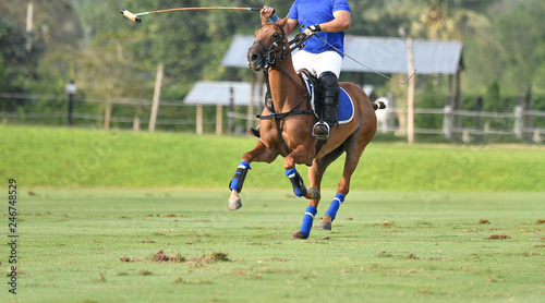 Polo player and horse playing in match