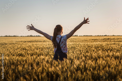 landscape, a huge wheat field in the middle of summer, a girl with long hair opened her arms to sunset