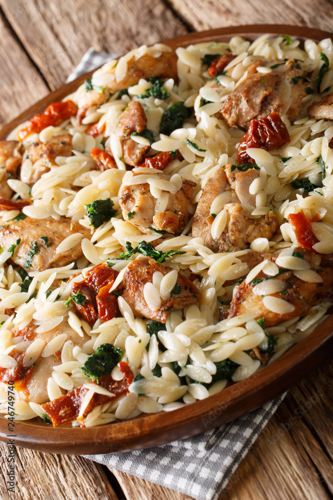 Italian pasta orzo with grilled chicken, dried tomatoes, spinach and cheese close-up. vertical
