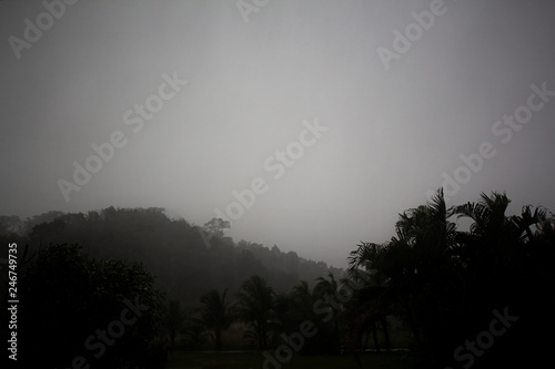 Mountain green leaves Palm texture background sky tone dark in Thailand,Dust and pollution problems 2.5Pm photo