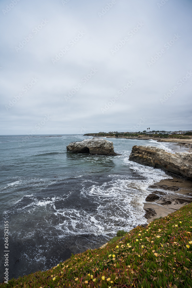 Green grass with flowers in front of a rock arch full of birds on it, waves in the ocean, coast line with sand and rocks