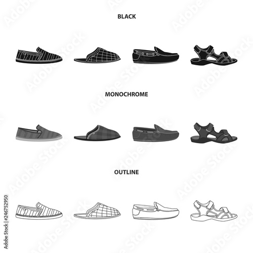 Vector illustration of shoe and footwear icon. Collection of shoe and foot stock symbol for web.