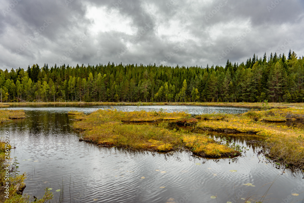 Small fishing lake in Sweden about to get overgrown
