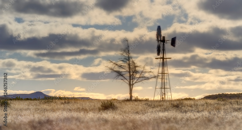 Obraz premium WINDMILL IN THE KAROO, South Africa