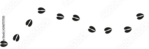 Tierspuren Reh ästhetischer Banner