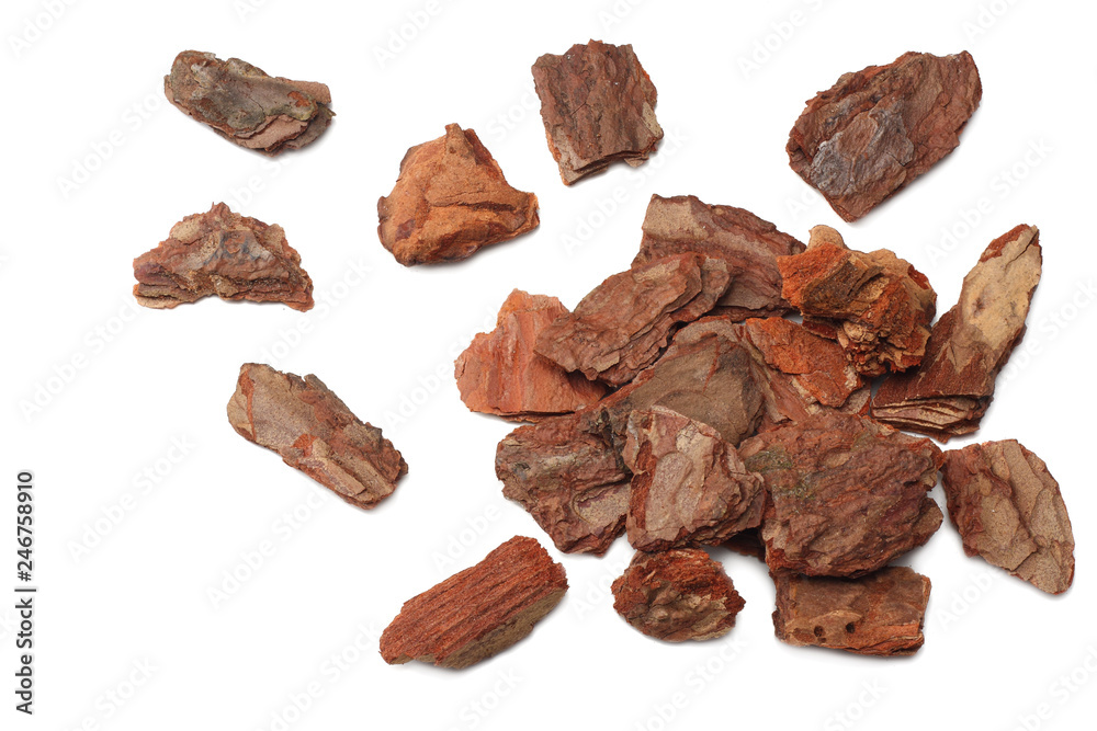 Tree bark pieces isolated on white background. top view Tree bark pieces isolated on white background. top view