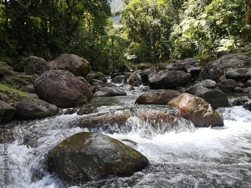 Martinique