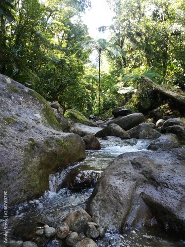 Quelle Martinique