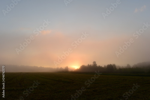 Sunrise sun in the morning mist over the mown field beyond the forest