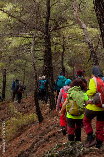 Nature walking group walking on footpath in autumn or winter concept for healthy lifestyle.