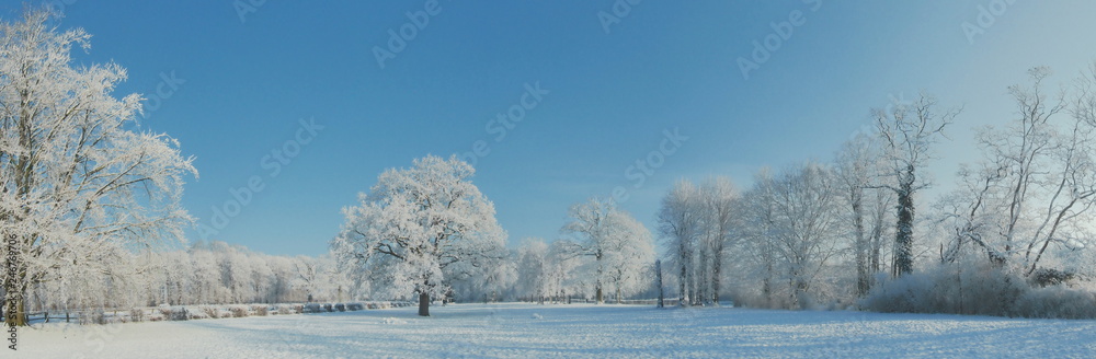 Winterlandschaft im Park mit Schnee - Einzelner Baum in einer Schneelandschaft Panorama Winterlandschaft im Park mit Schnee - Einzelner Baum in einer Schneelandschaft Panorama