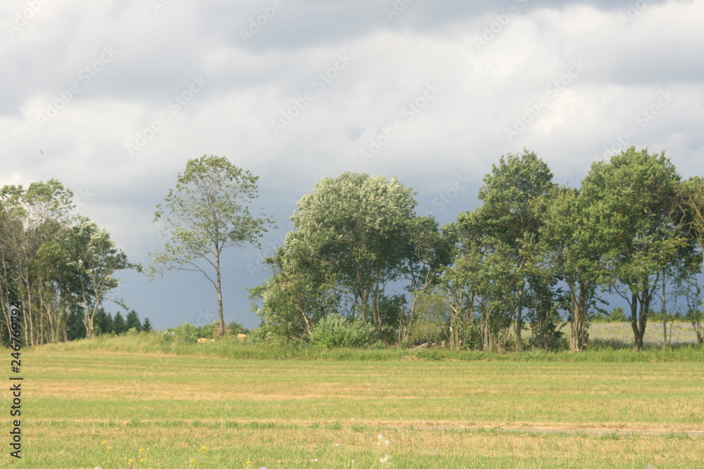 Natur