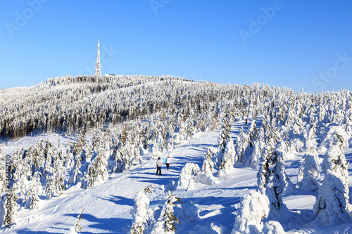 Fototapeta Naklejka Na Ścianę i Meble -  Szczyrk, Polska. Winter at Skrzyczne peak