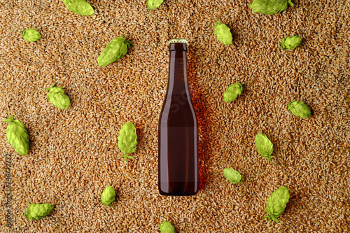 Beer glass bottlle template on wheat and single hop cones with  translucent label photo