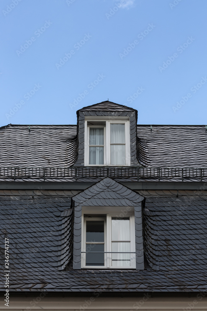 Windows on roof