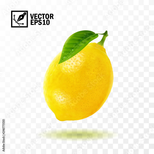 Lemon fruit with leaf on the handle ,3D realistic isolated vector, editable handmade mesh