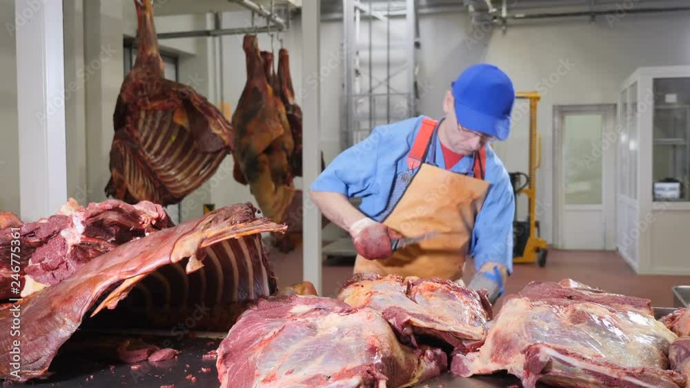 Butcher cutting, processing fresh meat. Meatprocessing plant. Sausage