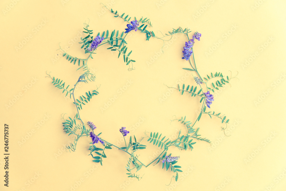 Summer lilac wild flowers on yellow background. Springtime floral frame