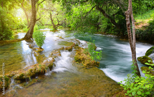 River in Krka National Park, Dalmatia Croatia, Europe. Beautiful landscape in spring forest. © vencav