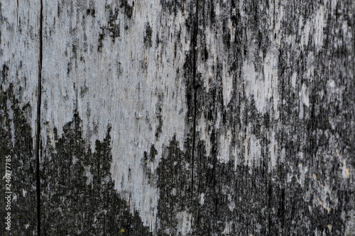 texture old gray plywood
