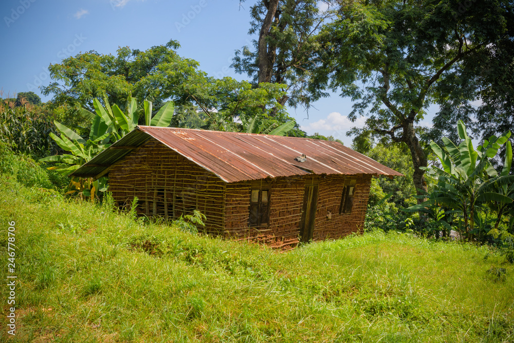 old wooden house in the Africa forest