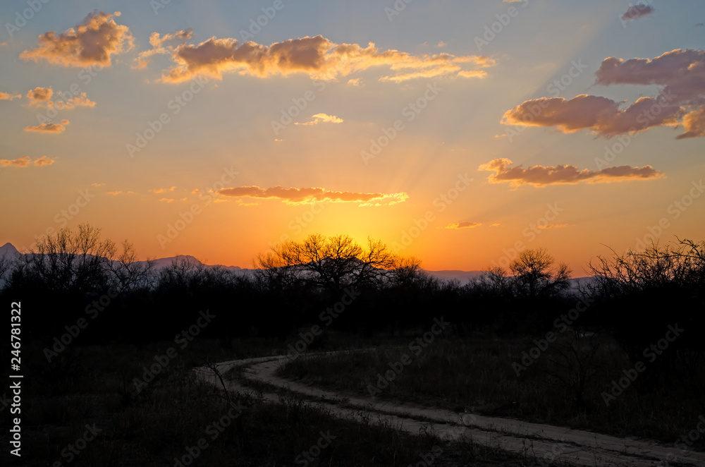 Sonnenuntergang Safari - Südafrika Sonnenuntergang Safari - Südafrika