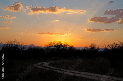 Sonnenuntergang Safari - Südafrika