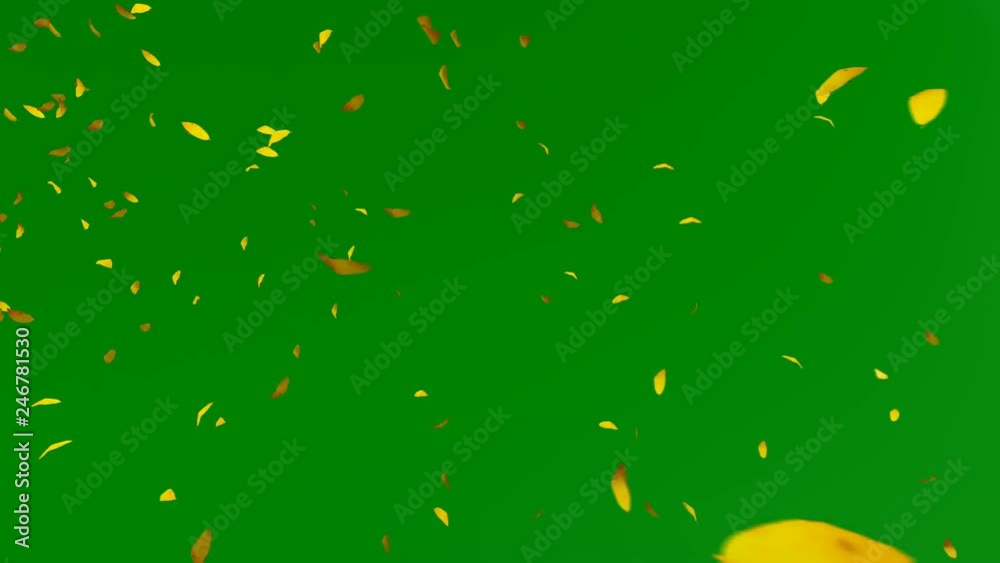 Autumn Leafs Flying, Green Screen, 4K Autumn Leafs Flying, Green Screen, 4K