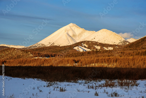 Valley with yellow grass on a background of snow covered mountains and glaciers with beautiful sunrise.