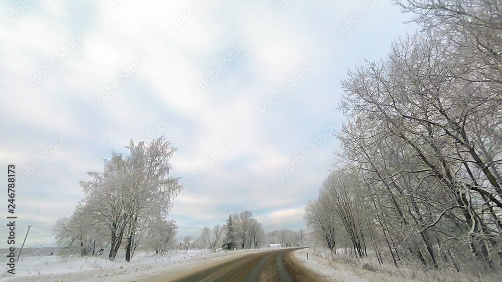 Country road in winter along the forest with white snow trees